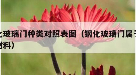 钢化玻璃门种类对照表图（钢化玻璃门属于什么材料）