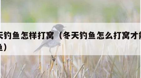 冬天钓鱼怎样打窝（冬天钓鱼怎么打窝才能留住鱼）