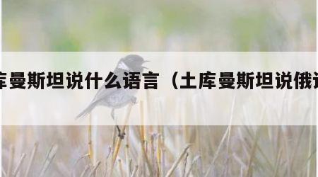 土库曼斯坦说什么语言（土库曼斯坦说俄语吗）