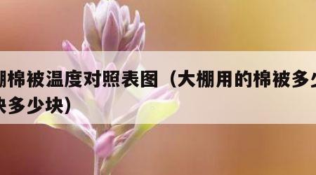 大棚棉被温度对照表图（大棚用的棉被多少钱一块多少块）