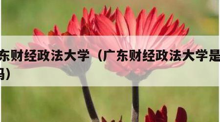 广东财经政法大学（广东财经政法大学是211吗）