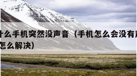 为什么手机突然没声音（手机怎么会没有声音了,怎么解决）