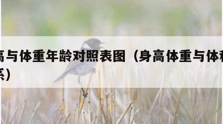 体高与体重年龄对照表图（身高体重与体积的关系）