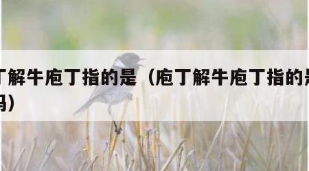 庖丁解牛庖丁指的是（庖丁解牛庖丁指的是厨师吗）