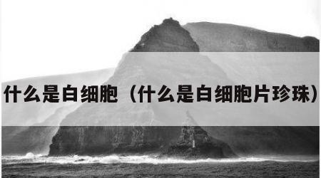 什么是白细胞（什么是白细胞片珍珠）