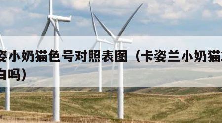 卡姿小奶猫色号对照表图（卡姿兰小奶猫2号色白吗）