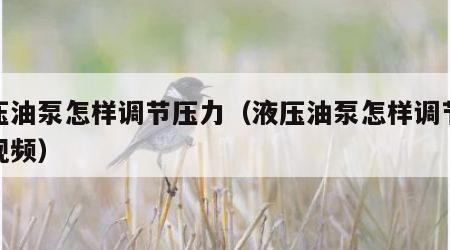 液压油泵怎样调节压力（液压油泵怎样调节压力视频）