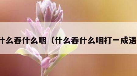 什么吞什么咽（什么吞什么咽打一成语）