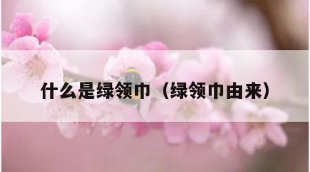 什么是绿领巾（绿领巾由来）