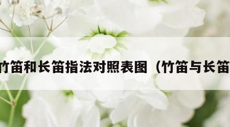 竹笛和长笛指法对照表图（竹笛与长笛）
