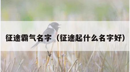 征途霸气名字（征途起什么名字好）