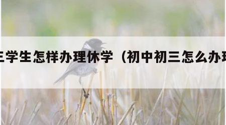 初三学生怎样办理休学（初中初三怎么办理休学）