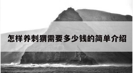 怎样养刺猬需要多少钱的简单介绍
