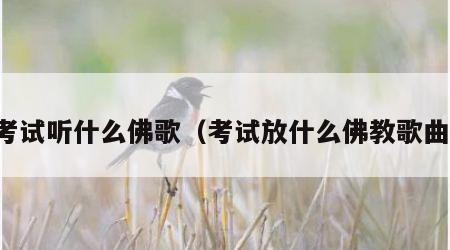 考试听什么佛歌（考试放什么佛教歌曲）