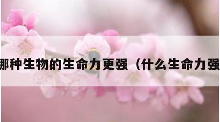 哪种生物的生命力更强（什么生命力强）