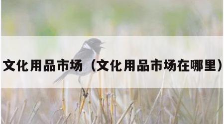 文化用品市场（文化用品市场在哪里）