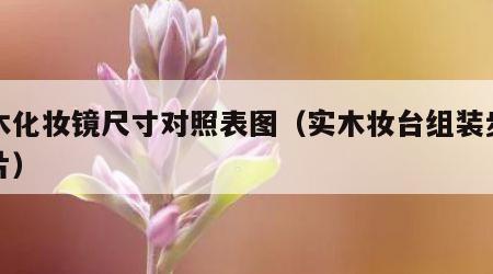 实木化妆镜尺寸对照表图（实木妆台组装步骤图片）