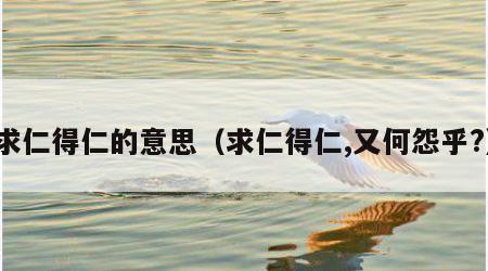 求仁得仁的意思（求仁得仁,又何怨乎?）