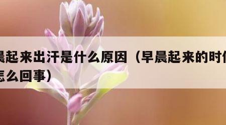 早晨起来出汗是什么原因（早晨起来的时候出汗怎么回事）