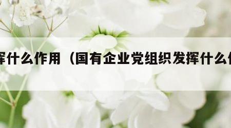 发挥什么作用（国有企业党组织发挥什么作用）