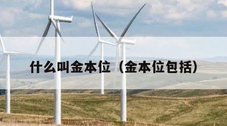 什么叫金本位（金本位包括）