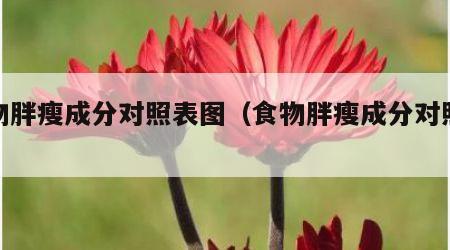 食物胖瘦成分对照表图（食物胖瘦成分对照表图）