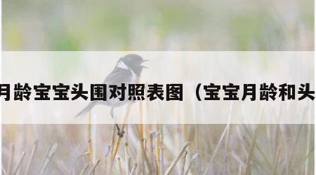 各月龄宝宝头围对照表图（宝宝月龄和头围）