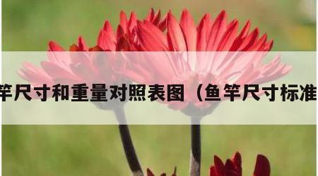 鱼竿尺寸和重量对照表图（鱼竿尺寸标准表）