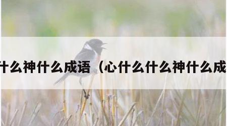 心什么神什么成语（心什么什么神什么成语）