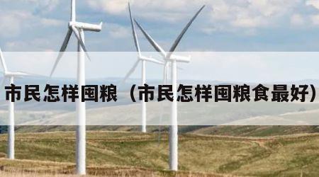 市民怎样囤粮（市民怎样囤粮食最好）