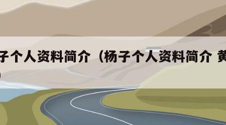 杨子个人资料简介（杨子个人资料简介 黄圣依）