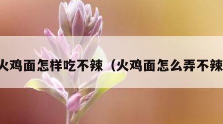 火鸡面怎样吃不辣（火鸡面怎么弄不辣）