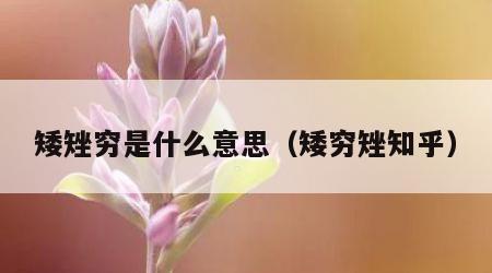 矮矬穷是什么意思（矮穷矬知乎）