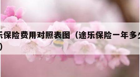 途乐保险费用对照表图（途乐保险一年多少钱 40）