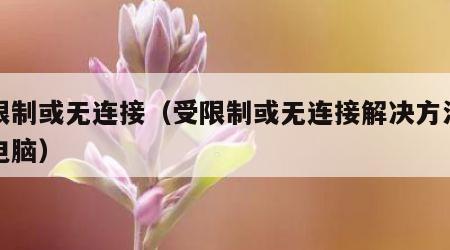 受限制或无连接（受限制或无连接解决方法台式电脑）