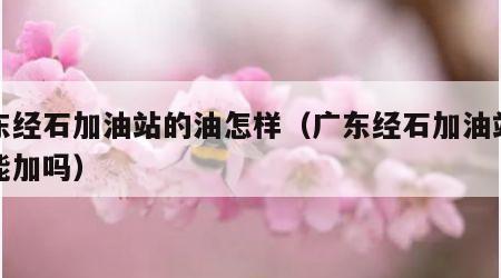 广东经石加油站的油怎样（广东经石加油站的油能加吗）