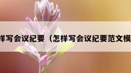 怎样写会议纪要（怎样写会议纪要范文模板）