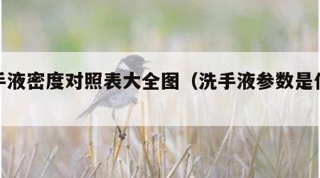 洗手液密度对照表大全图（洗手液参数是什么）