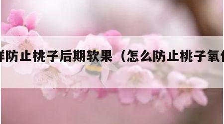 怎样防止桃子后期软果（怎么防止桃子氧化变黑）