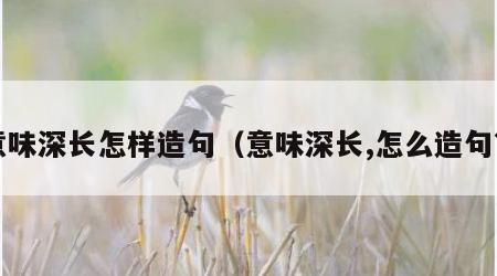意味深长怎样造句（意味深长,怎么造句?）