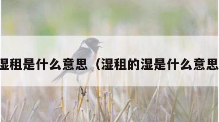 湿租是什么意思（湿租的湿是什么意思）