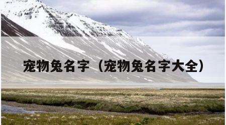 宠物兔名字（宠物兔名字大全）