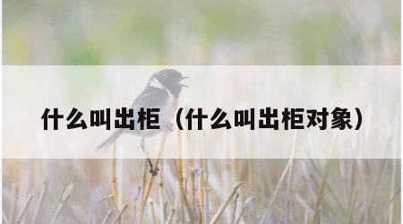 什么叫出柜（什么叫出柜对象）
