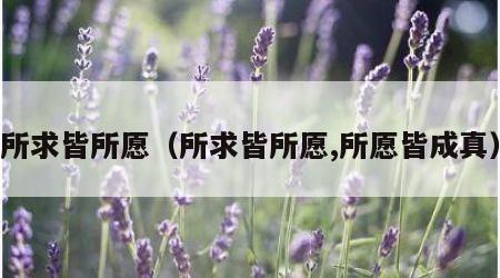 所求皆所愿（所求皆所愿,所愿皆成真）
