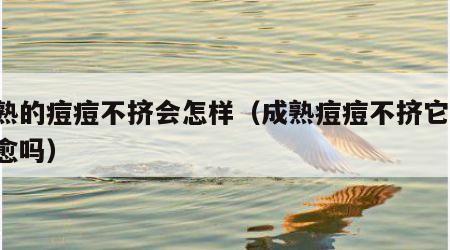 成熟的痘痘不挤会怎样（成熟痘痘不挤它 会自愈吗）