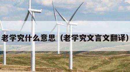 老学究什么意思（老学究文言文翻译）