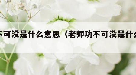 功不可没是什么意思（老师功不可没是什么意思）