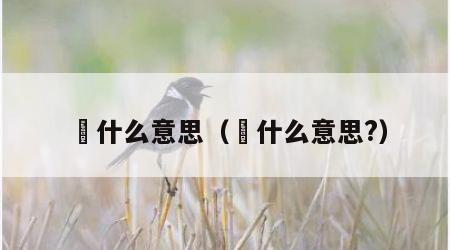 箎什么意思（箎什么意思?）