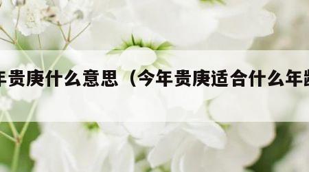 今年贵庚什么意思（今年贵庚适合什么年龄段）