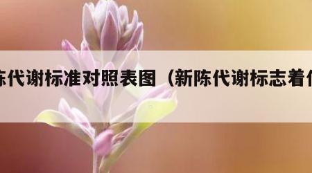 新陈代谢标准对照表图（新陈代谢标志着什么）